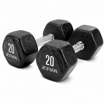 Гантели уретановые Ziva ZSL-DBUX Studio, 1 кг | sportres.ru