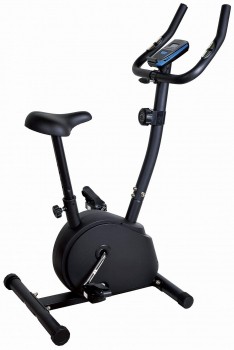 Велотренажер магнитный Royal Fitness RFIB-12