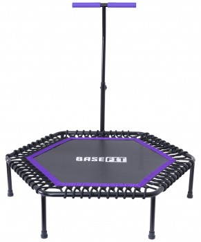 Батут Basefit TR-401 101 см с держателем