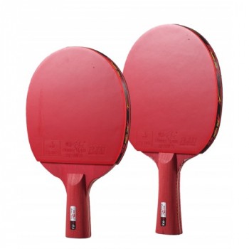 Ракетка для настольного тенниса Scholle Double Fish Red Carbon (3-Stars)