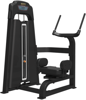 Торс-машина Bronze Gym LD-9018 | sportres.ru