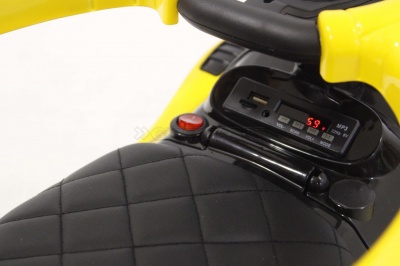 Толокар RiverToys Pagani A002AA-M yellow