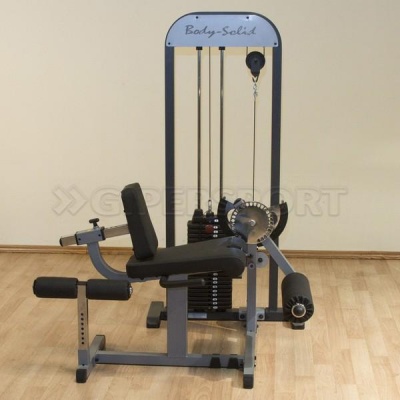 Блочный тренажер сгибание-разгибание ног (маятник) Body Solid GCEC-STK
