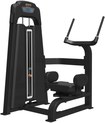 Торс-машина Bronze Gym LD-9018 | sportres.ru