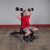 Регулируемая скамья Body Solid SFID425