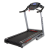 Беговая дорожка BH FITNESS PIONEER R5