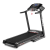 Беговая дорожка BH FITNESS PIONEER R3