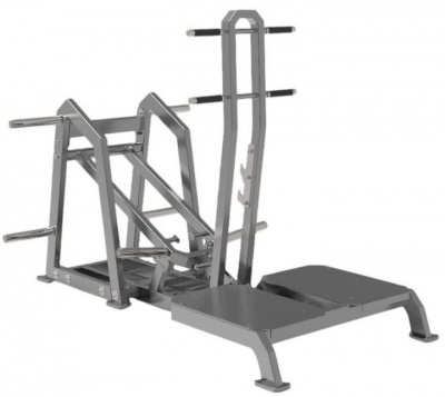 Приседание с поясом (колодец) Fitex Pro Sway FTX-82B20 | sportres.ru