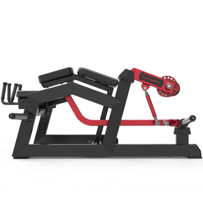 Сгибание ног лежа Impulse ECP604