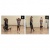 Гиря Body Solid 34 кг (75lb) классическая