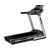 Беговая дорожка BH FITNESS F2W DUAL