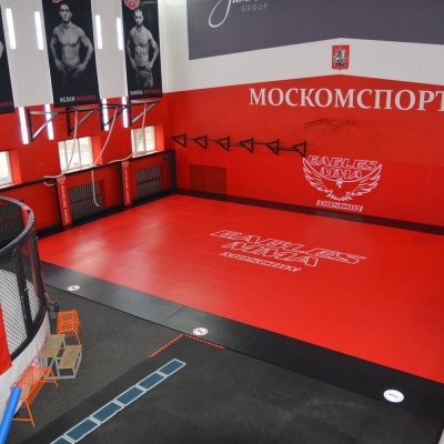 Татами Econom 100х200х4см Fighttech TE