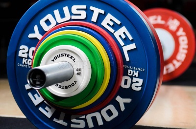 Диски тренировочные малые Yousteel белый 0.5 кг