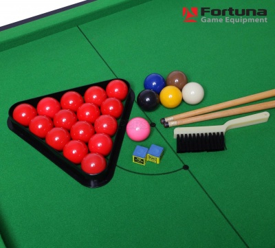 БИЛЬЯРДНЫЙ СТОЛ FORTUNA HOBBY BF-530S CНУКЕР 5ФТ С КОМПЛЕКТОМ АКСЕССУАРОВ