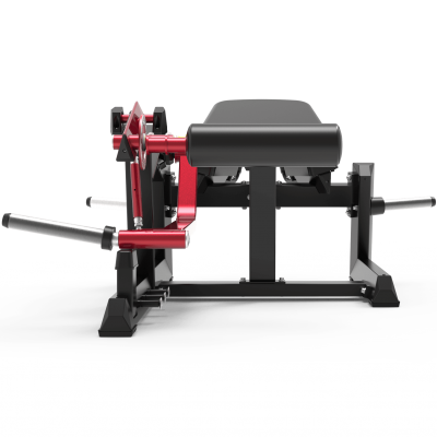 Сгибание ног лежа Impulse ECP604