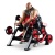Бицепс (независимый) Panatta 1FW251 | sportres.ru