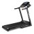 Беговая дорожка BH FITNESS PIONEER R2 TFT