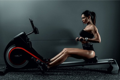 Гребной тренажер Ultra Gym UG-R002 | sportres.ru