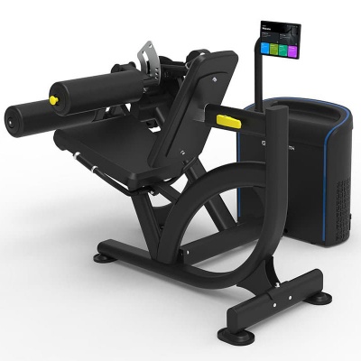 Сгибание / Разгибание ног сидя Spirit i-Strength IS-2003