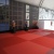 Татами JUDO 100х200х4см Fighttech TJ