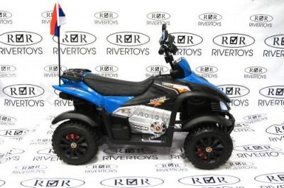 Квадроцикл RiverToys Р333РР