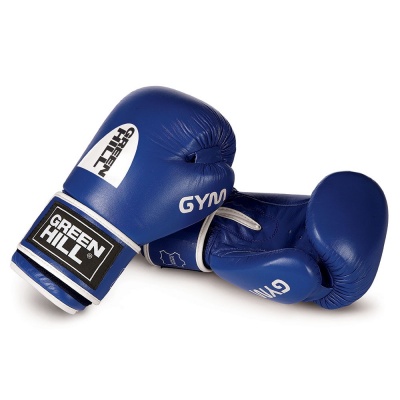 Перчатки боксерские GreenHill GYM 20OZ BGG-2018 синие