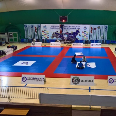 Татами Normal 100х200х4см Fighttech TN