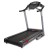 Беговая дорожка BH FITNESS PIONEER R7